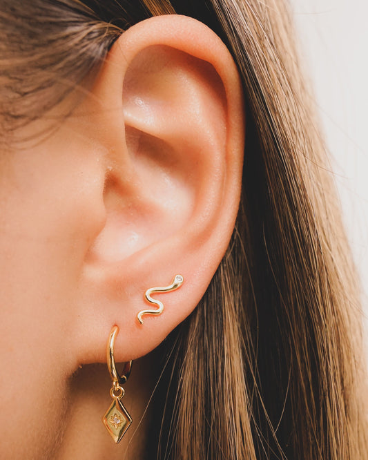 Snake Stud Earrings