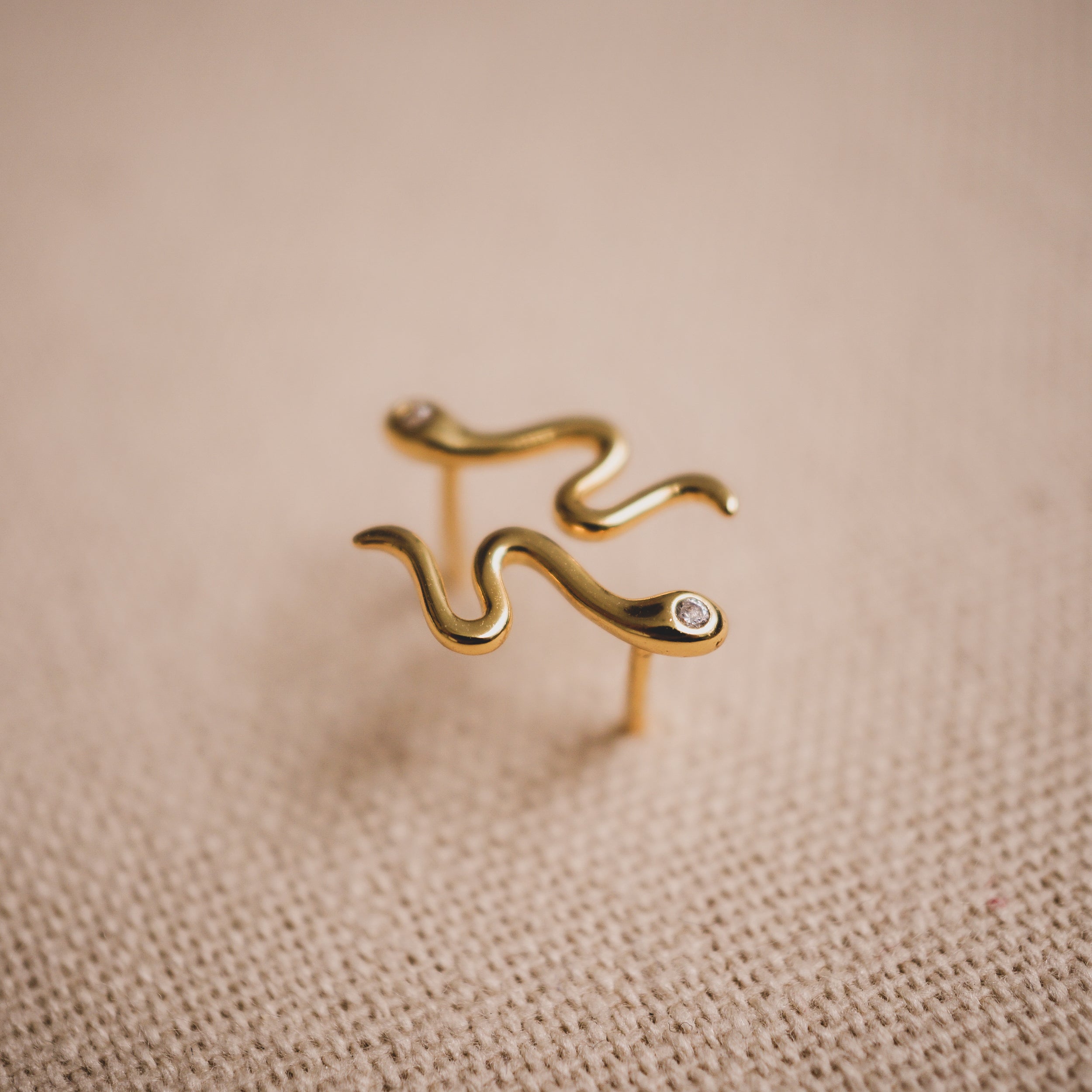 Snake Stud Earrings