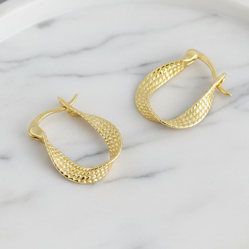 Curvy Twist Hoops