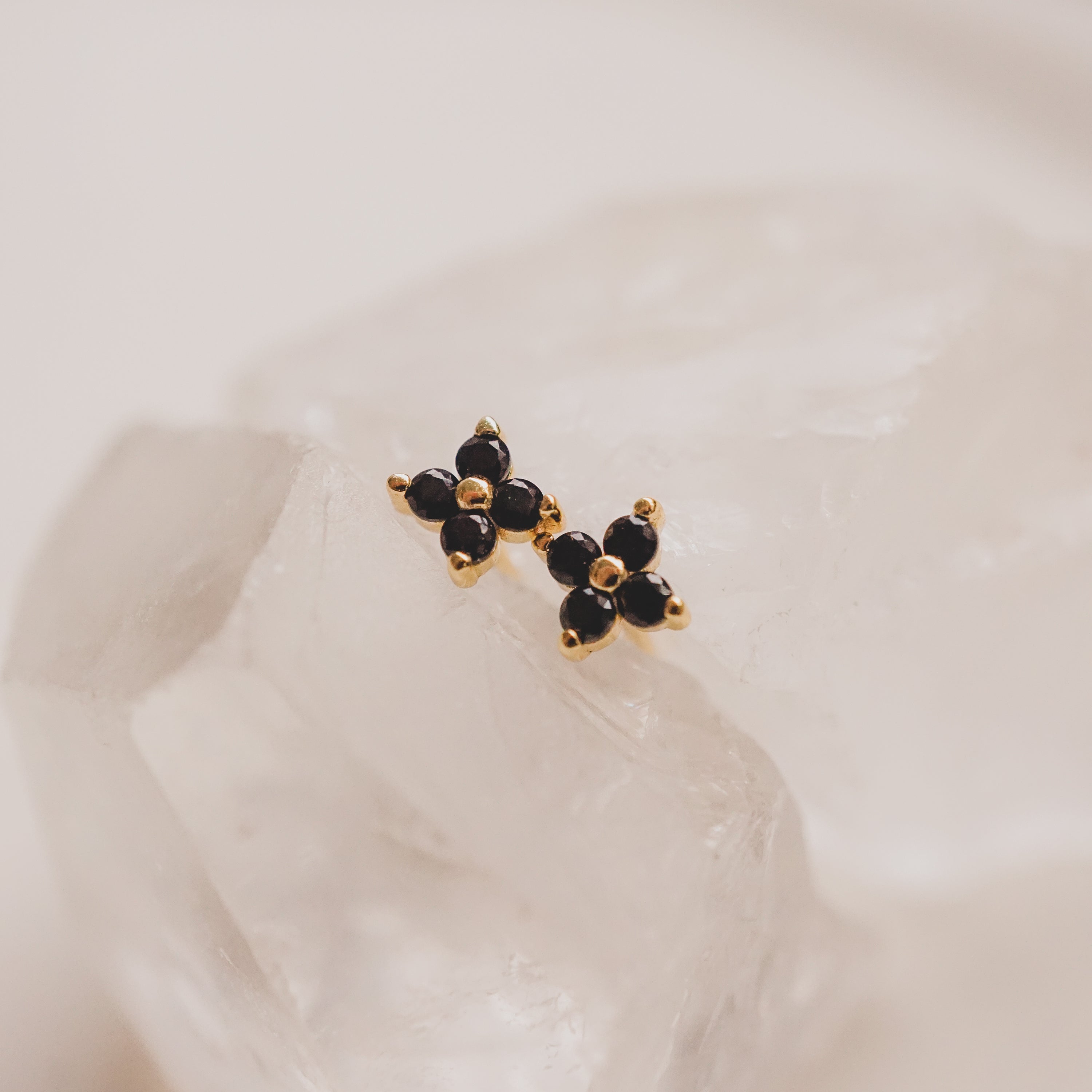 Black Lucky Clover Studs