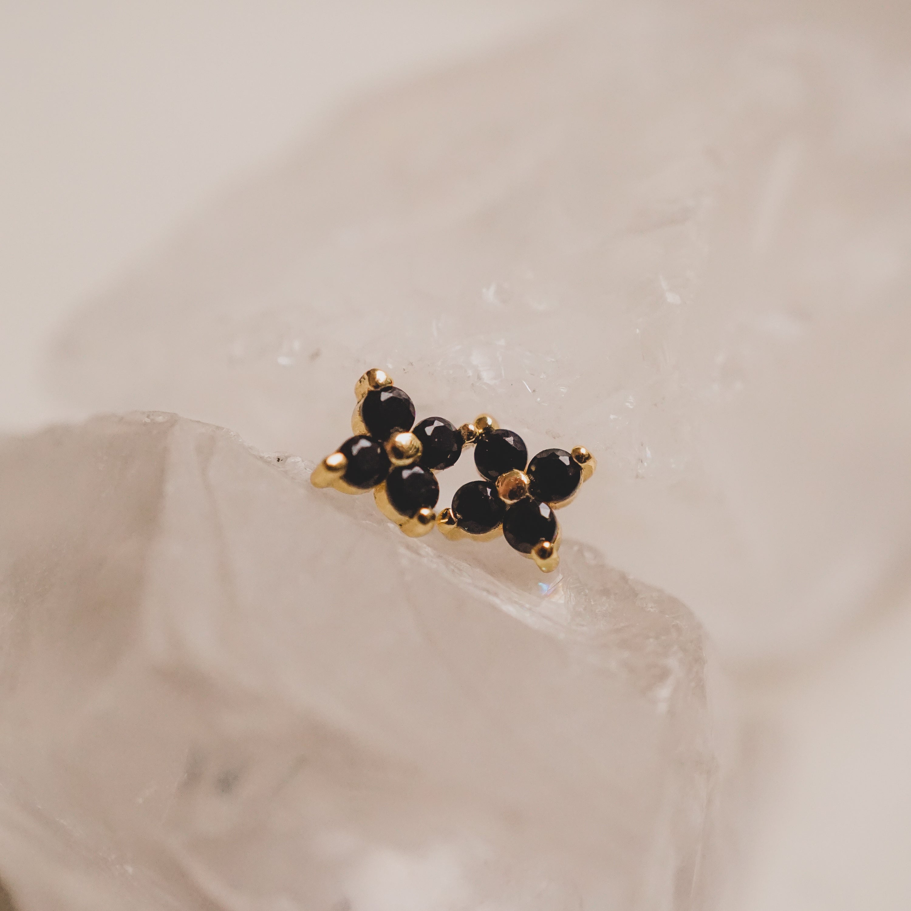 Black Lucky Clover Studs